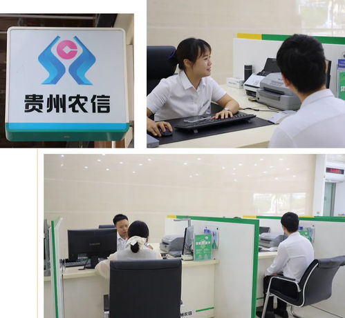金融活水潤(rùn)萬山系列報(bào)道之一 信息技術(shù)咨詢服務(wù)助力萬山破解養(yǎng)殖融資難題